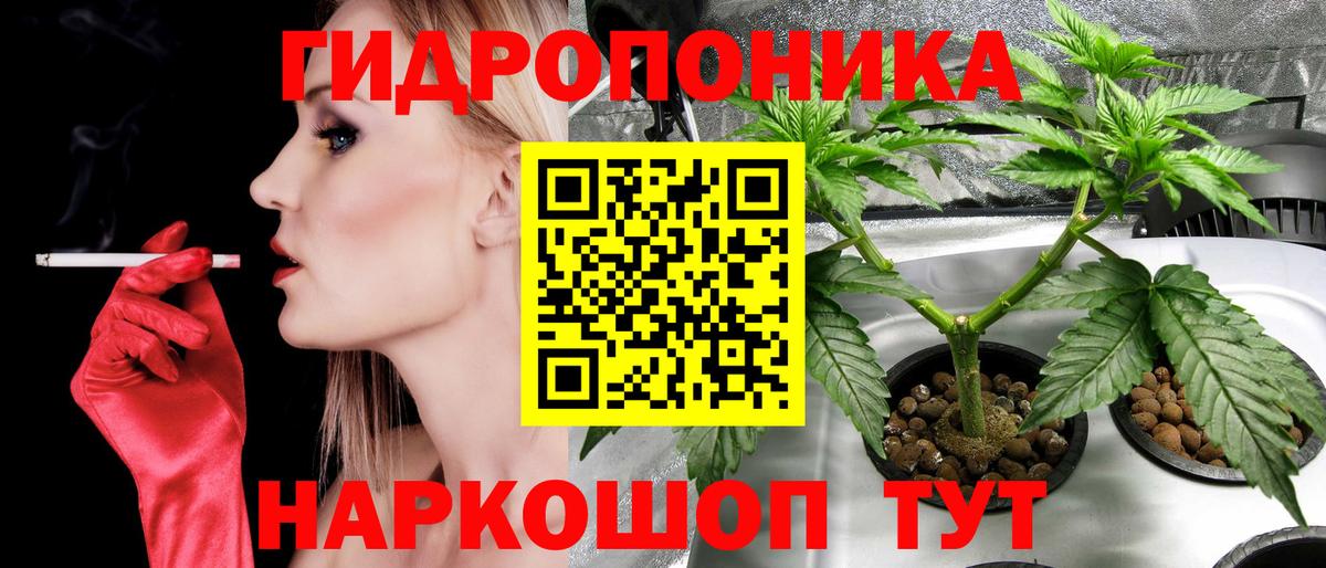 Конопля сатива Коркино